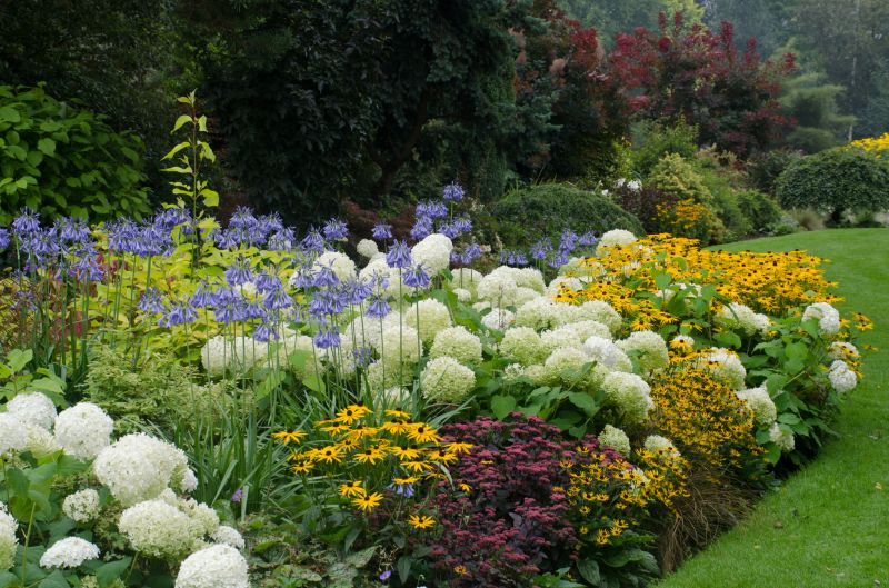 Hydrangea Landscaping