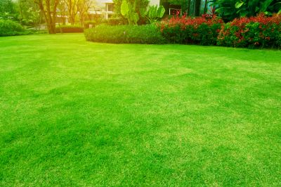 Lush Lawns and Green Spaces