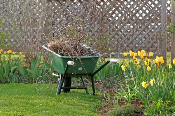 Flower Bed Cleanup Service in Bonita Springs