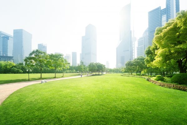 Commercial Landscape Maintenance in Bonita Springs