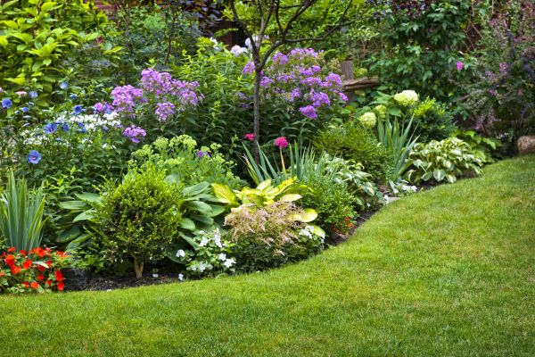 Flower Bed Service in Bonita Springs