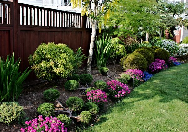 Garden Care Service in Bonita Springs