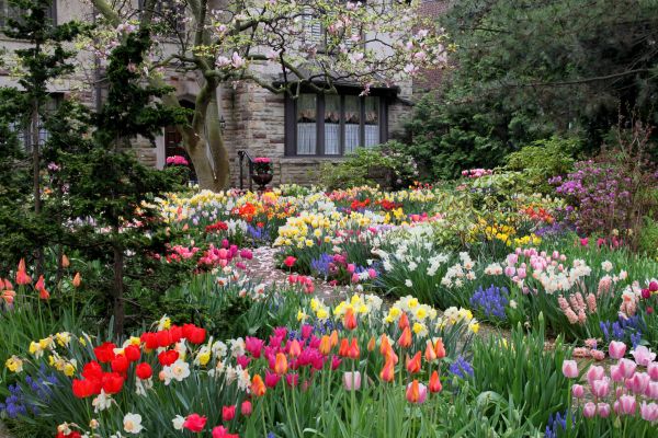 Garden Maintenance Service in Bonita Springs