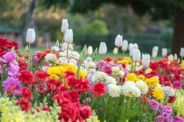 Gardening Service in Bonita Springs