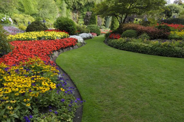 Landscaping Maintenance in Bonita Springs