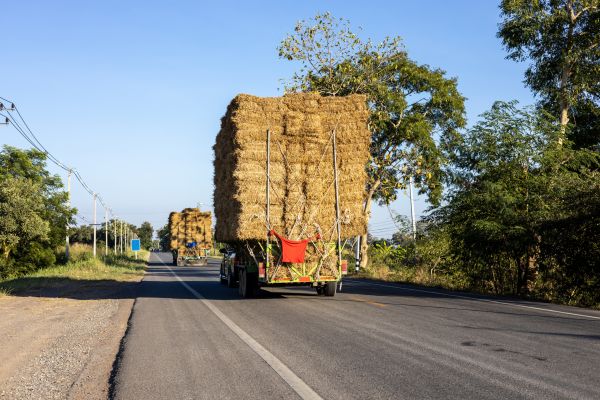Pine Straw Delivery in Bonita Springs