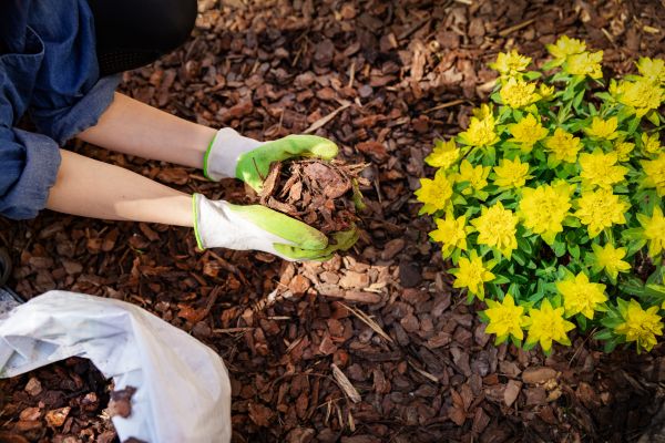 Garden Mulching in Bonita Springs