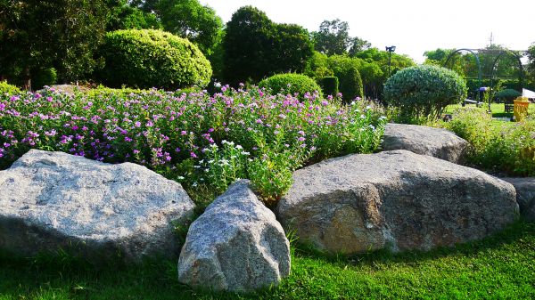 Boulder Landscaping in Bonita Springs
