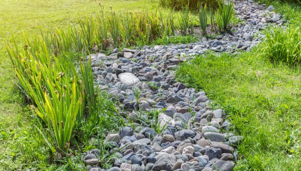 River Rock Garden Installation in Bonita Springs
