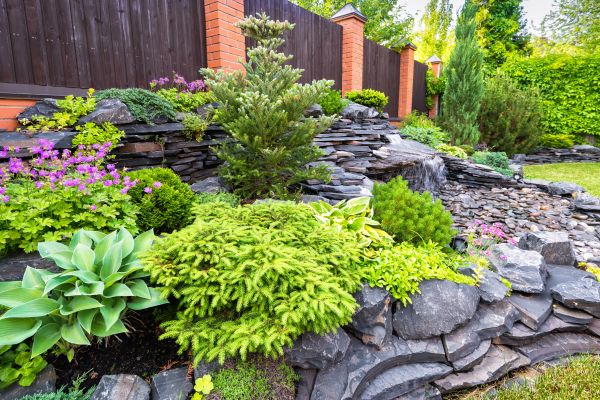 Landscape Remodeling in Bonita Springs