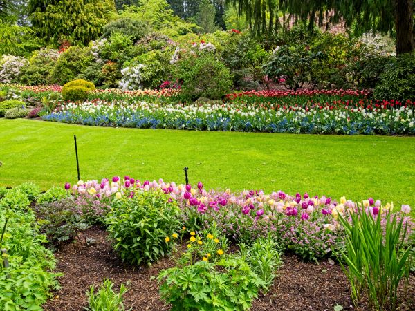 Residential Landscape Design in Bonita Springs
