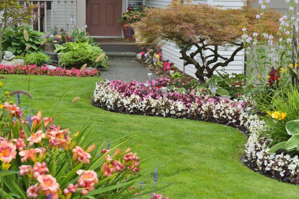 Perennial Landscaping in Bonita Springs
