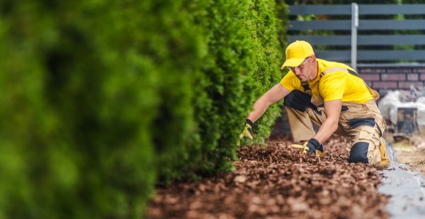 Cypress Mulch Installation in Bonita Springs