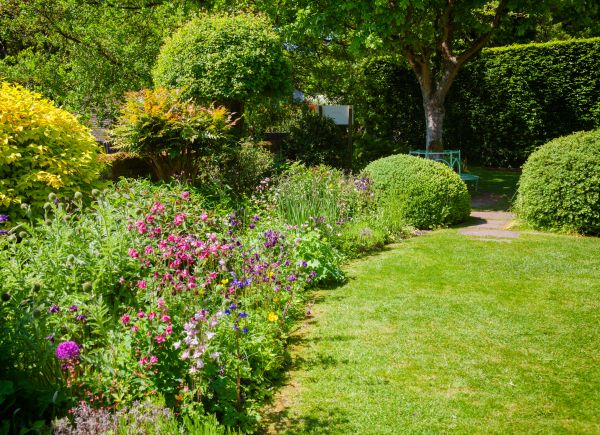 Yard Landscaping Service in Bonita Springs