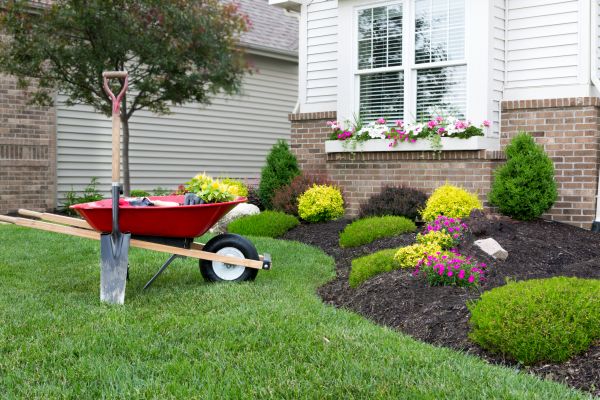 Tree And Shrub Planting in Bonita Springs