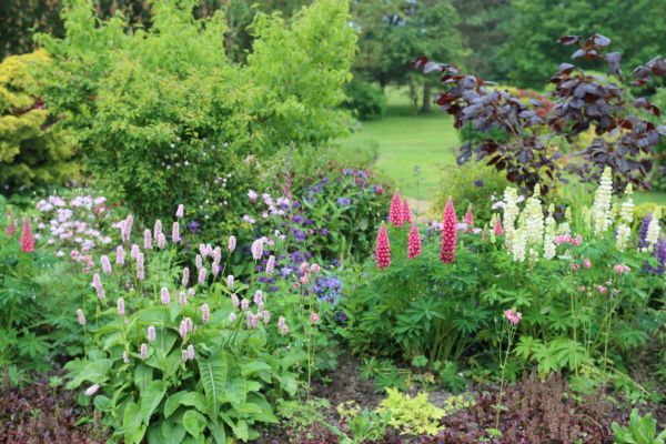 Flower Bed Planting in Bonita Springs