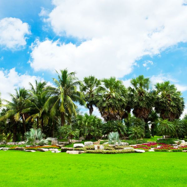 Tropical Landscaping in Bonita Springs