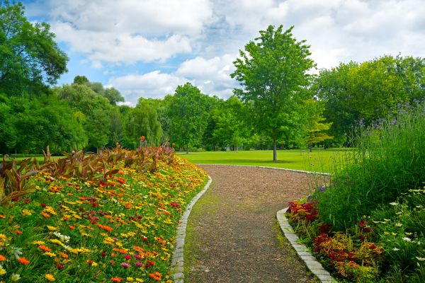 Park Landscaping in Bonita Springs