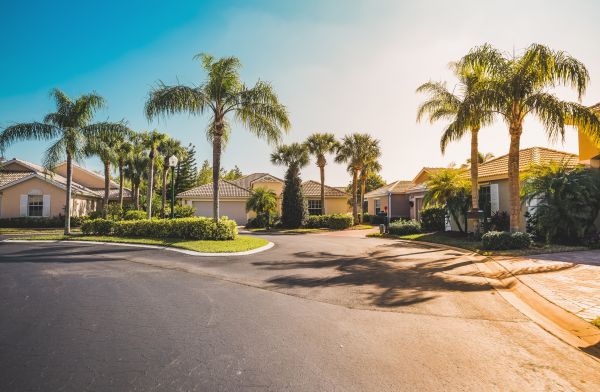 Palm Tree Landscaping in Bonita Springs