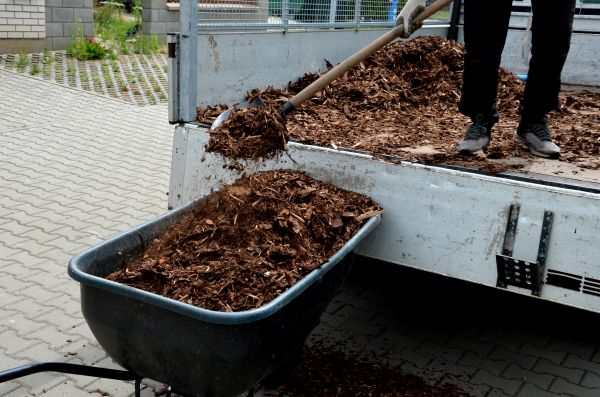 Cypress Mulch Delivery in Bonita Springs