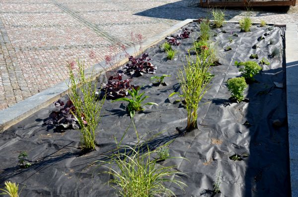 Landscape Fabric Installation in Bonita Springs