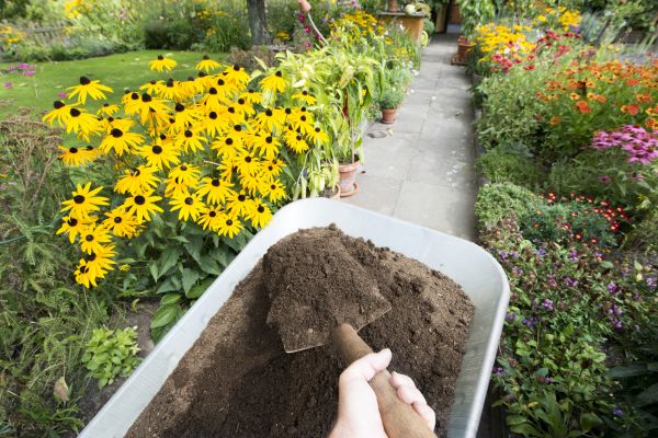 Topsoil Replacement in Bonita Springs