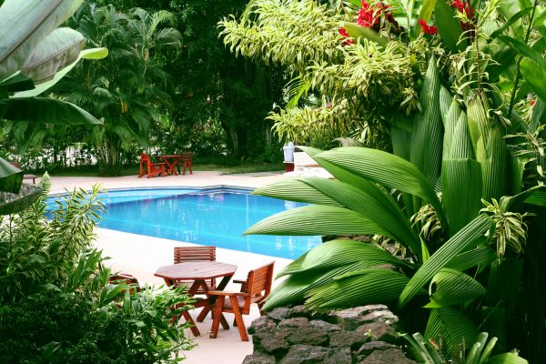 Pool Area Landscaping in Bonita Springs