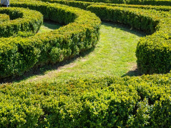 Bush Landscaping in Bonita Springs
