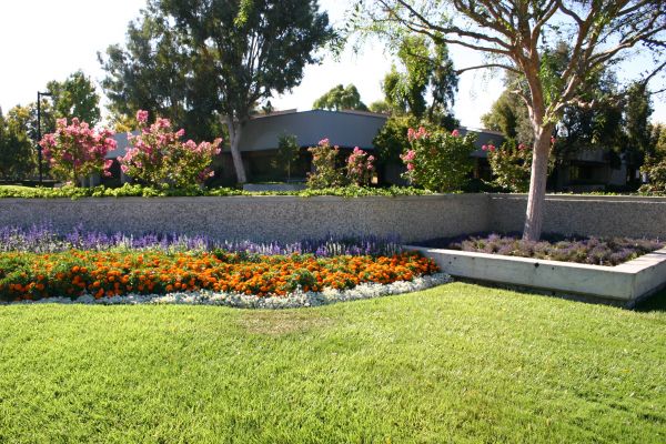 Commercial Landscape Service in Bonita Springs