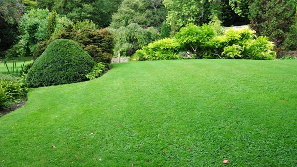 Commercial Landscape Design in Bonita Springs