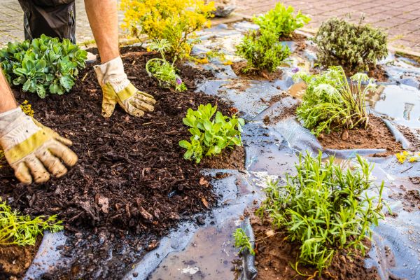 Mulch Fabric Installation in Bonita Springs