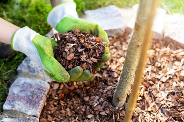 Tree Bark Delivery in Bonita Springs
