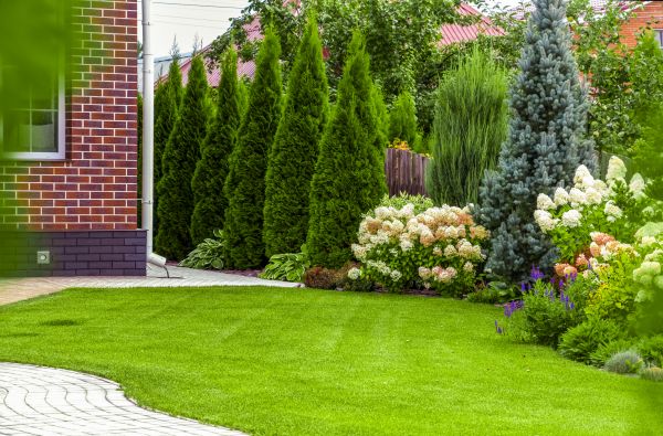 Spring Landscaping in Bonita Springs