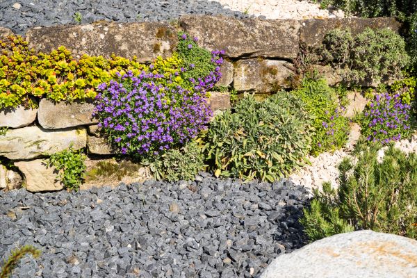 Landscaping Rocks Installation in Bonita Springs