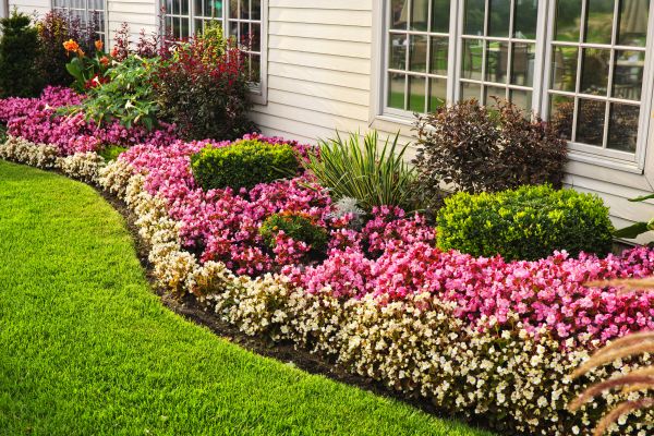 Garden Landscape Design in Bonita Springs