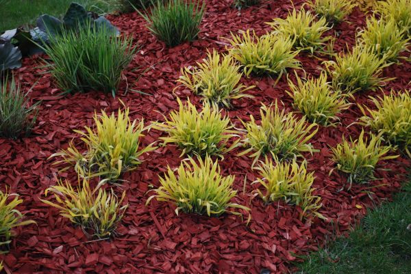 Red Mulch Installation in Bonita Springs
