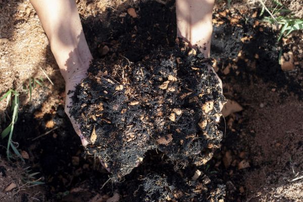 Organic Mulch Installation in Bonita Springs