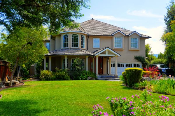 Large Yard Landscaping in Bonita Springs