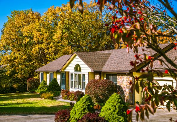 Ranch Landscaping in Bonita Springs