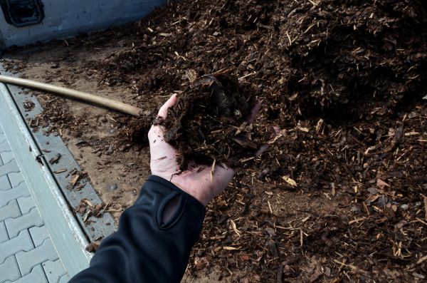 Condo Mulching in Bonita Springs