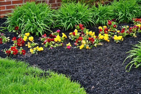 Apartment Mulching in Bonita Springs