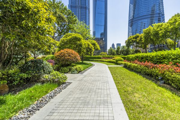 Commercial Landscaping in Bonita Springs